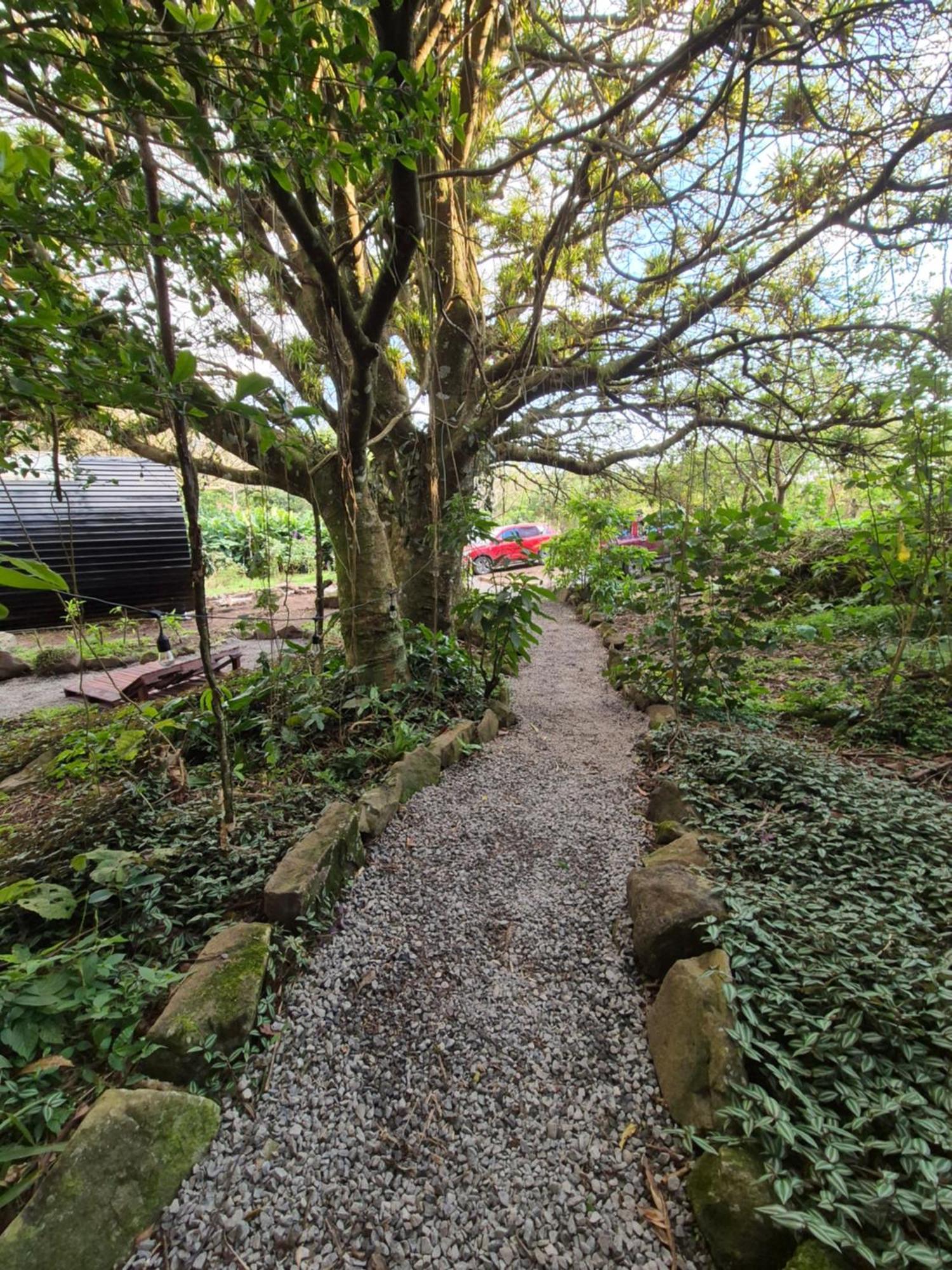 Glamping Monteverde Exterior foto